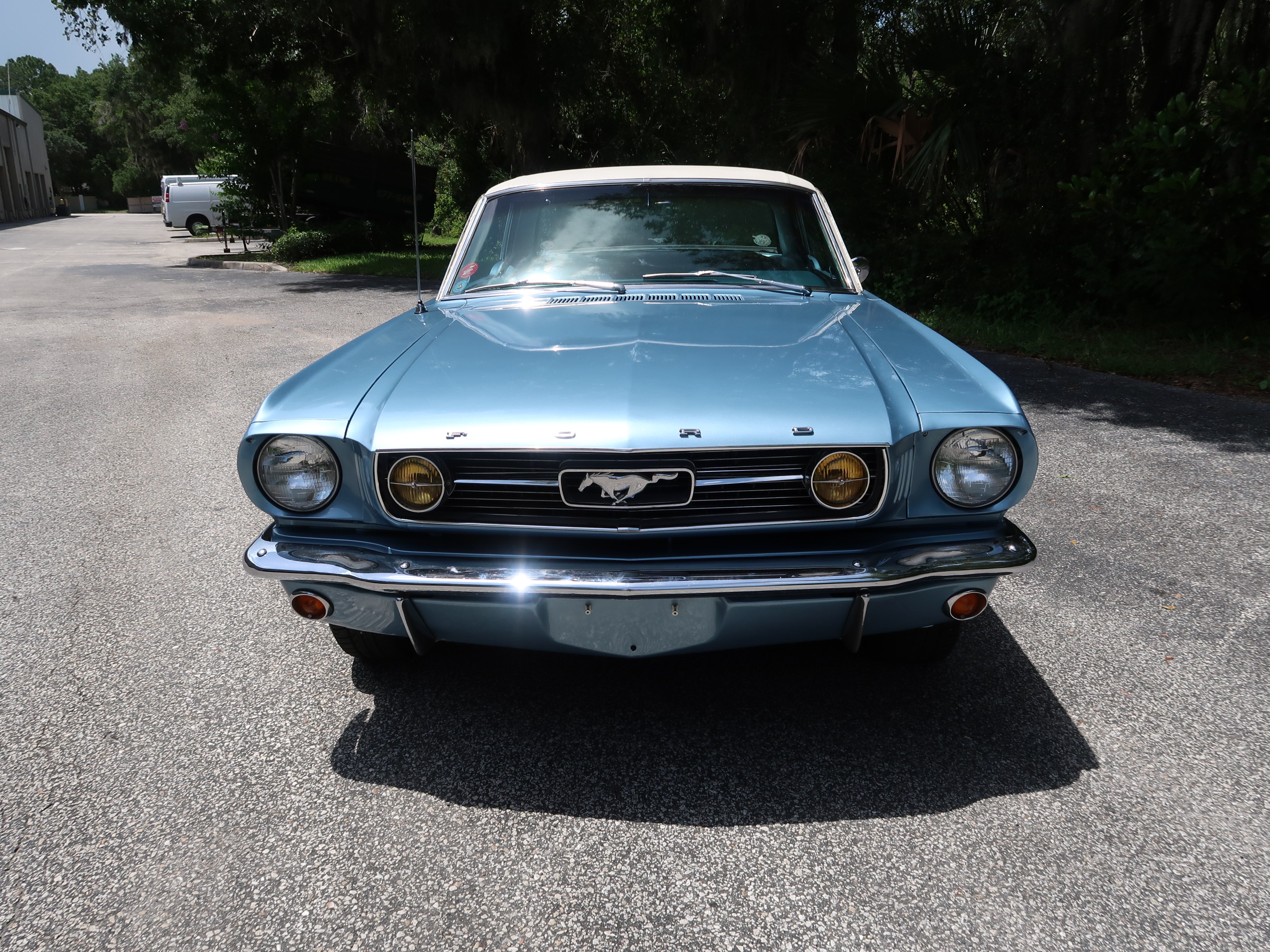 
								1966 Mustang Coupe full									