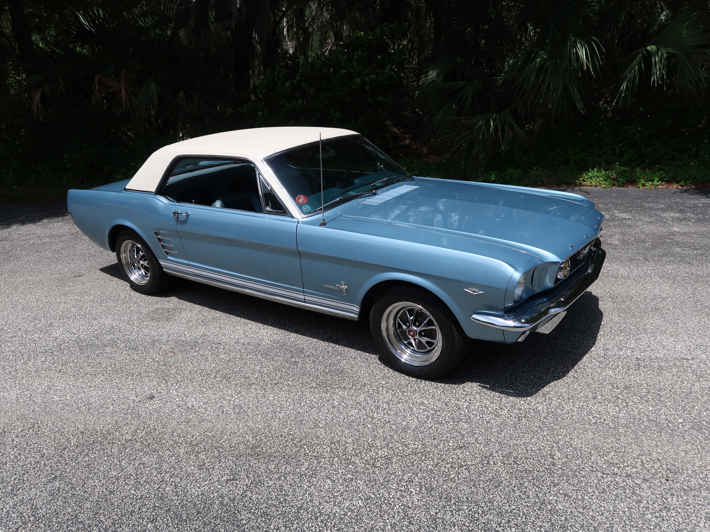 
								1966 Mustang Coupe full									