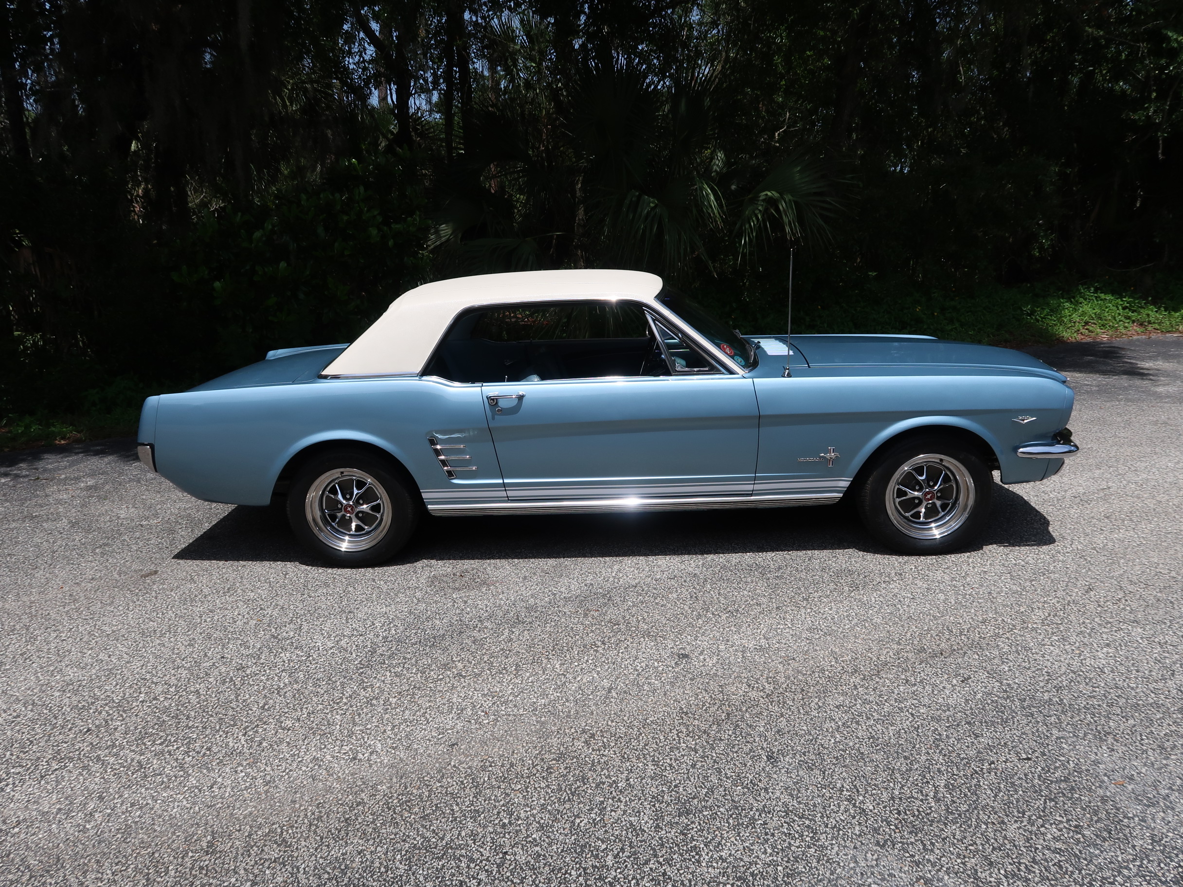 
								1966 Mustang Coupe full									