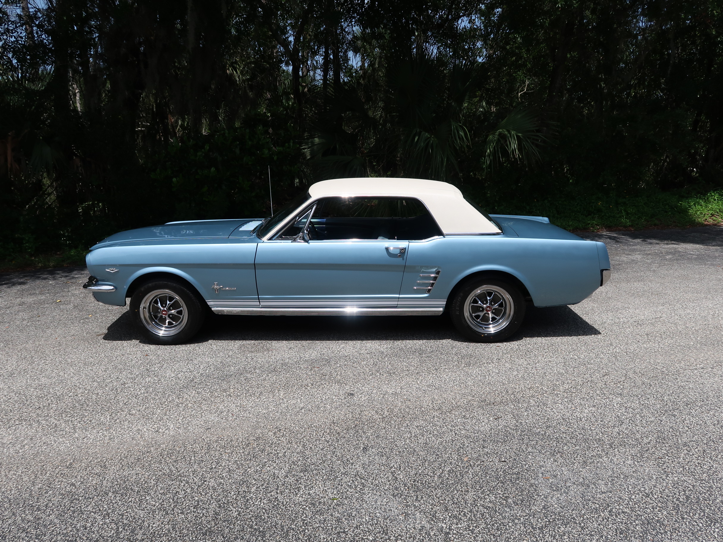 
								1966 Mustang Coupe full									