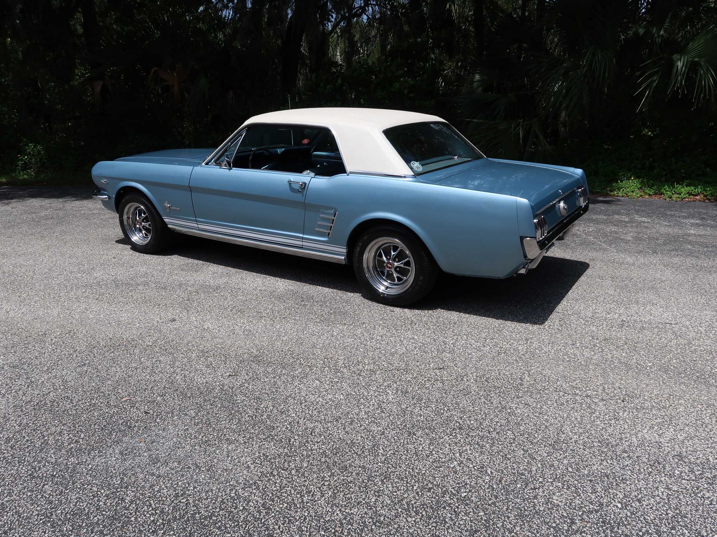 
								1966 Mustang Coupe full									