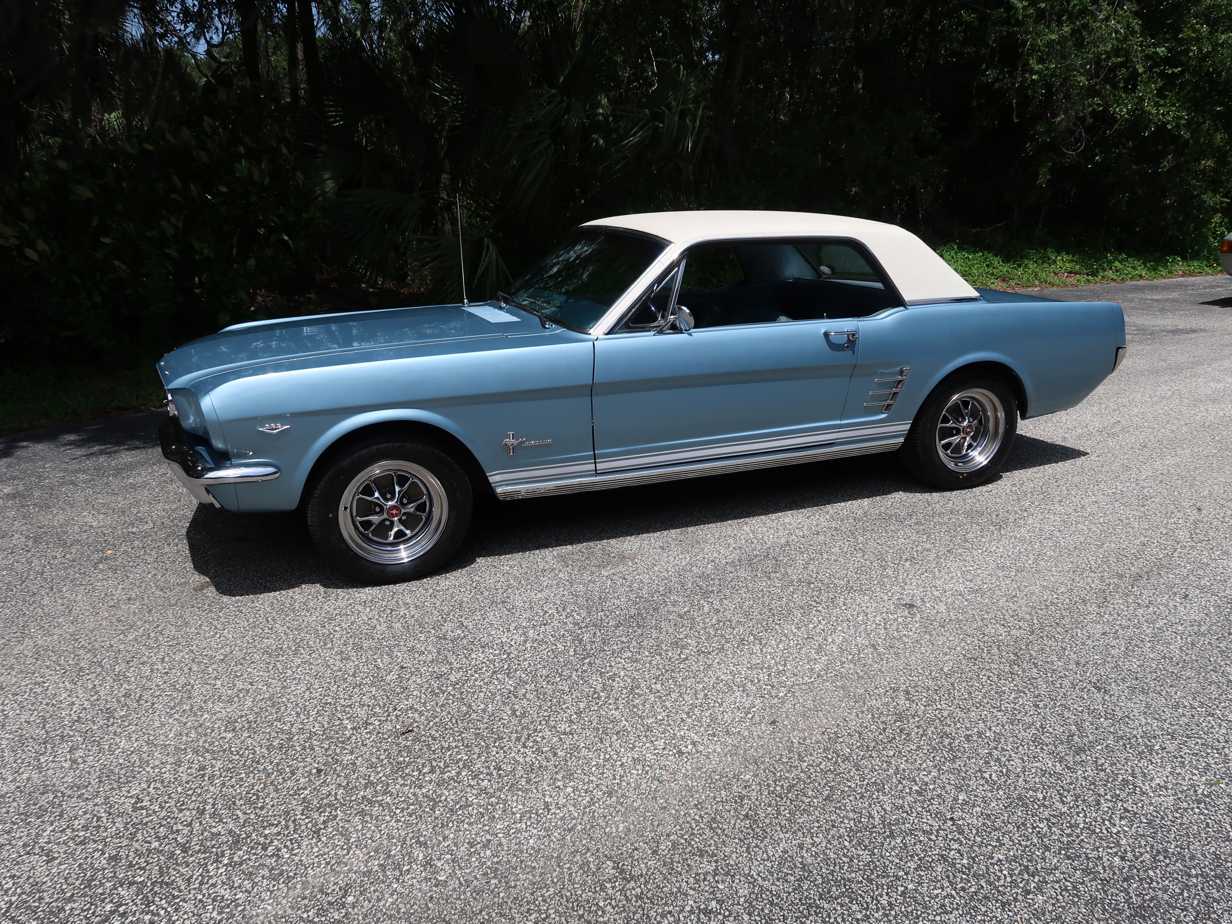 
								1966 Mustang Coupe full									