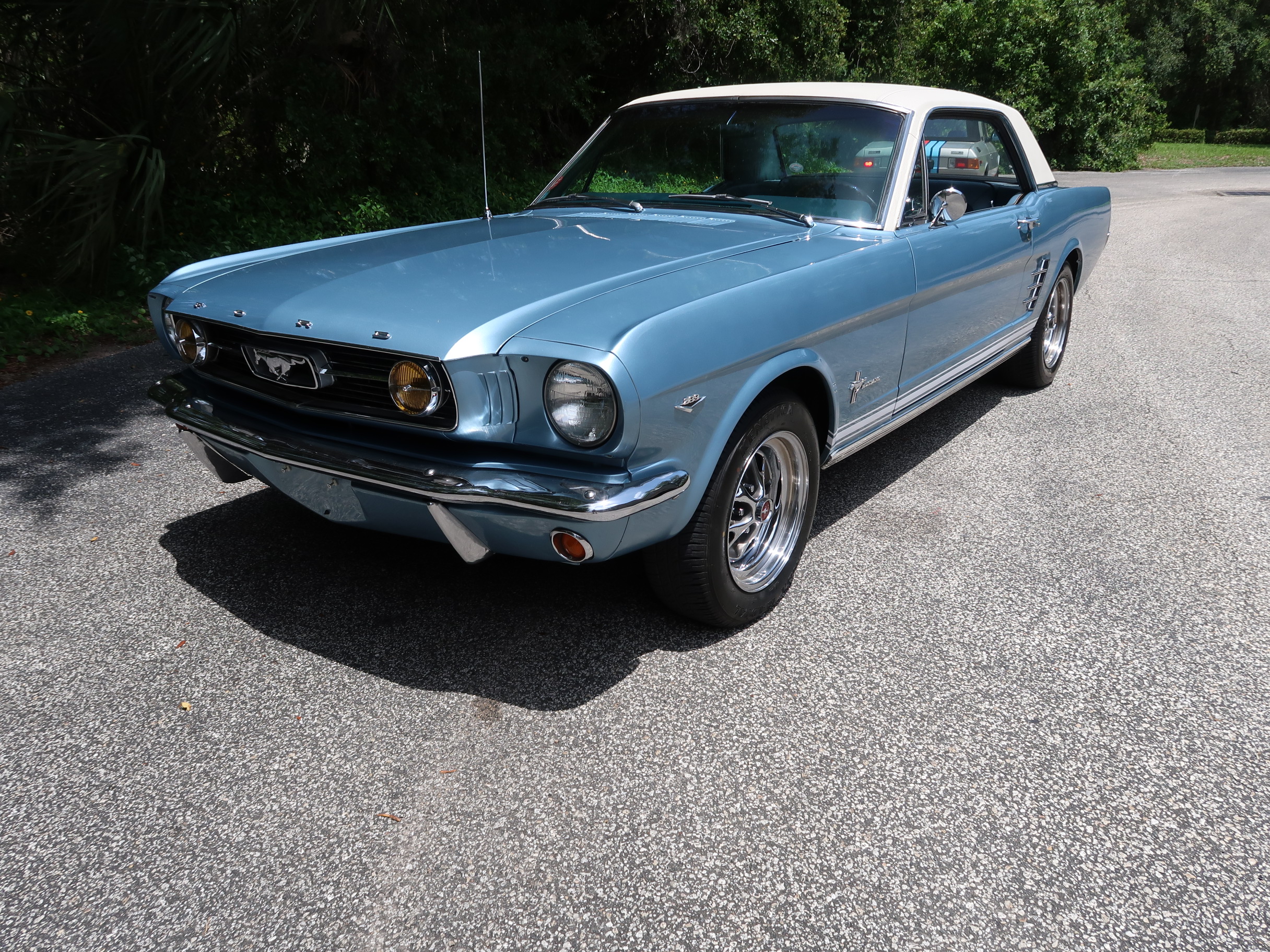
								1966 Mustang Coupe full									