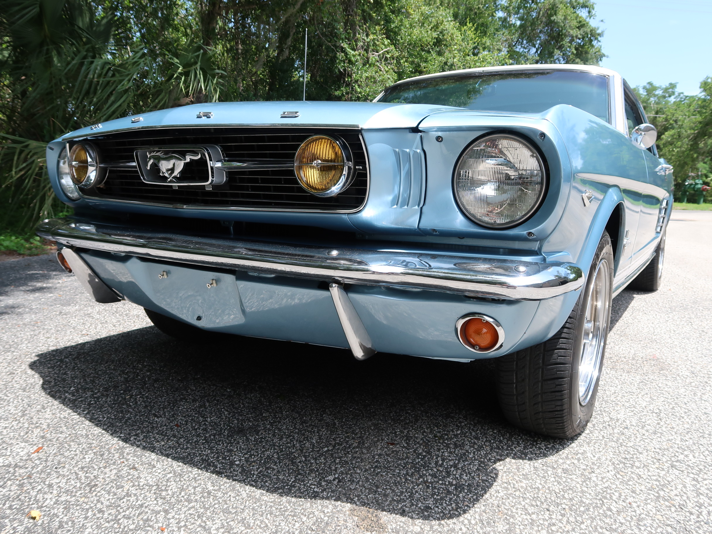
								1966 Mustang Coupe full									